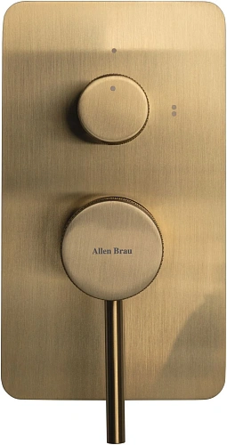 Смеситель для ванны Allen Brau Priority 5.31011-GB (с внутренней частью, 2 выхода) золото Смеситель для ванны Allen Brau Priority 5.31011-GB (с внутренней частью, 2 выхода) золото