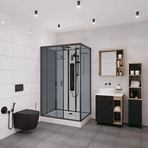 Душевая кабина Niagara Premium NG-6912-01GQR BLACK (1200х800х2100) низкий поддон (16 см) стекло тонированное 69120134GQRBLACK Душевая кабина Niagara Premium NG-6912-01GQR BLACK (1200х800х2100) низкий поддон (16 см) стекло тонированное 69120134GQRBLACK