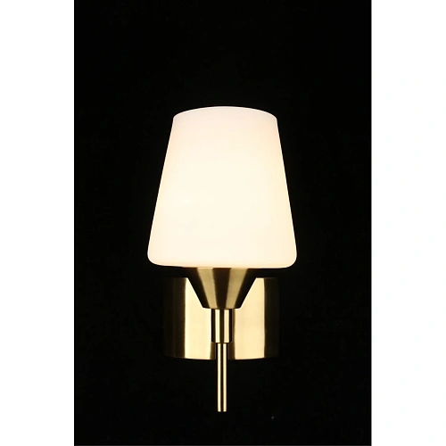 Светильник настенный (Бра) Aployt Lyus APL.840.01.01 Светильник настенный (Бра) Aployt Lyus APL.840.01.01