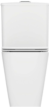 Чаша напольного унитаза Allen Brau Liberty 4.33013.20 с крышкой, белый