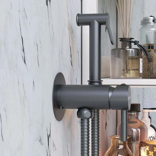 Гигиенический душ Damixa Option 217000000 встраиваемый смеситель, черный Гигиенический душ Damixa Option 217000000 встраиваемый смеситель, черный