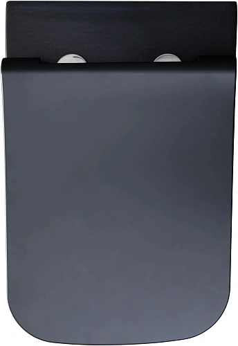 Унитаз подвесной Allen Brau Infinity 4.21011.31 с крышкой, черный матовый Унитаз подвесной Allen Brau Infinity 4.21011.31 с крышкой, черный матовый