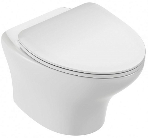 Унитаз подвесной Jacob Delafon Nouvelle Vague EDK102-00 безободковый без сиденья Унитаз подвесной Jacob Delafon Nouvelle Vague EDK102-00 безободковый без сиденья