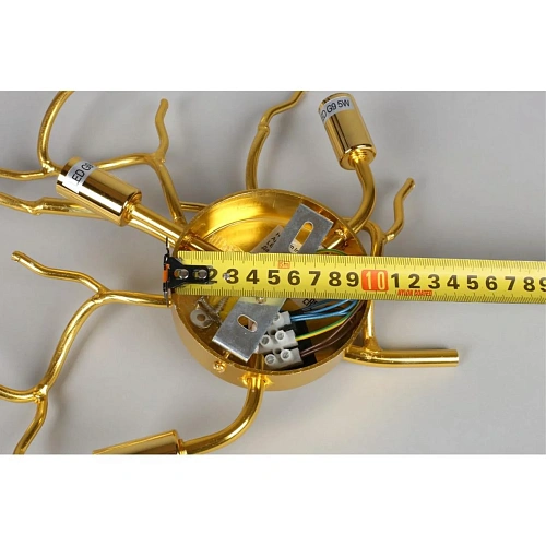 Светильник настенный (Бра) Aployt Viktorayn APL.844.01.03 Светильник настенный (Бра) Aployt Viktorayn APL.844.01.03