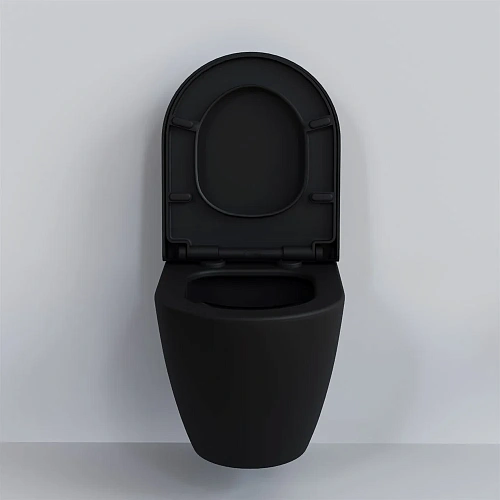 Крышка-сиденье Ambassador Queen 112T20201 (толстое) черное матовое Крышка-сиденье Ambassador Queen 112T20201 (толстое) черное матовое