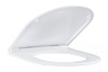 Картинка анонса товара «крышка-сиденье grohe essence ceramic (39577000) с микролифтом, альпин-белый»