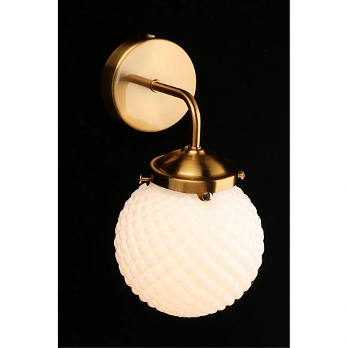 Светильник настенный (Бра) Aployt Filisi APL.765.01.01 Светильник настенный (Бра) Aployt Filisi APL.765.01.01