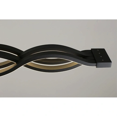 Светильник настенно-потолочный Aployt Nadayn APL.002.17.72 Светильник настенно-потолочный Aployt Nadayn APL.002.17.72