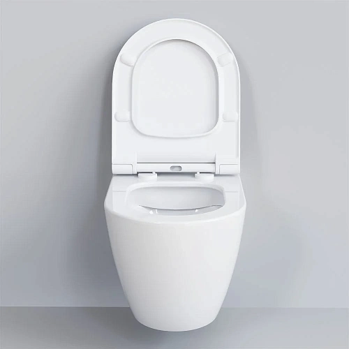 Крышка-сиденье Ambassador Queen 112T20001S (тонкое) белое Крышка-сиденье Ambassador Queen 112T20001S (тонкое) белое