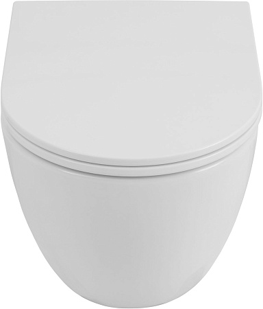 Унитаз подвесной Allen Brau Priority Tornado 4.31008.20 с крышкой, белый глянец