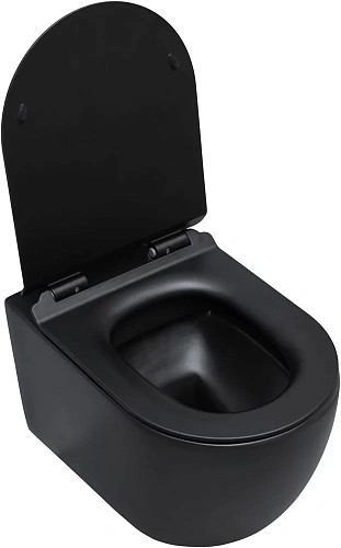 Унитаз подвесной Aquanet Rimless Cetus-BW BL-102N-WHT CETUS-BW с сиденьем Унитаз подвесной Aquanet Rimless Cetus-BW BL-102N-WHT CETUS-BW с сиденьем