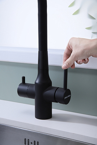 Смеситель для кухни Paulmark SALIX антрацит Sa213419-AN Смеситель для кухни Paulmark SALIX антрацит Sa213419-AN