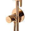 Гигиенический душ Wonzon & Woghand розовое золото (WW-88829909-RG) Гигиенический душ Wonzon & Woghand розовое золото (WW-88829909-RG)