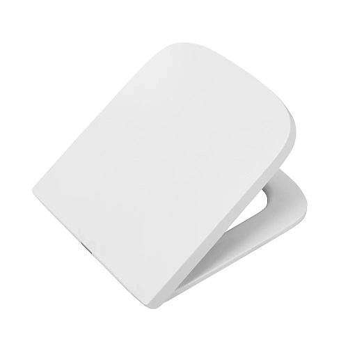 Чаша напольного унитаза BelBagno AURORA BB8604CPR/SC безободковая с сиденьем Чаша напольного унитаза BelBagno AURORA BB8604CPR/SC безободковая с сиденьем