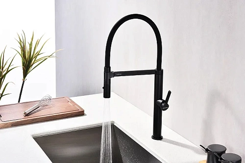 Смеситель для кухни Paulmark LEADER антрацит Le214101-AN Смеситель для кухни Paulmark LEADER антрацит Le214101-AN