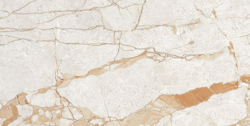 Керамогранит Neodom Ambassador Rosalia Glossy 60x120 CV20196 Керамогранит Neodom Ambassador Rosalia Glossy 60x120 CV20196