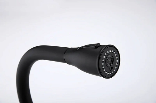 Смеситель для кухни Paulmark LANGE антрацит La214212-AN Смеситель для кухни Paulmark LANGE антрацит La214212-AN