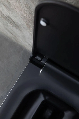 Унитаз подвесной Allen Brau Infinity 4.21011.31 с крышкой, черный матовый Унитаз подвесной Allen Brau Infinity 4.21011.31 с крышкой, черный матовый