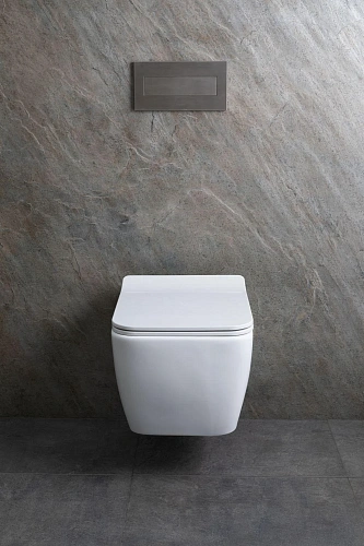 Унитаз подвесной Allen Brau Liberty 4.33007.21 с крышкой, белый матовый Унитаз подвесной Allen Brau Liberty 4.33007.21 с крышкой, белый матовый