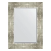 Зеркало в багетной раме Evoform Exclusive BY 1130 56 x 76 см, алюминий Зеркало в багетной раме Evoform Exclusive BY 1130 56 x 76 см, алюминий