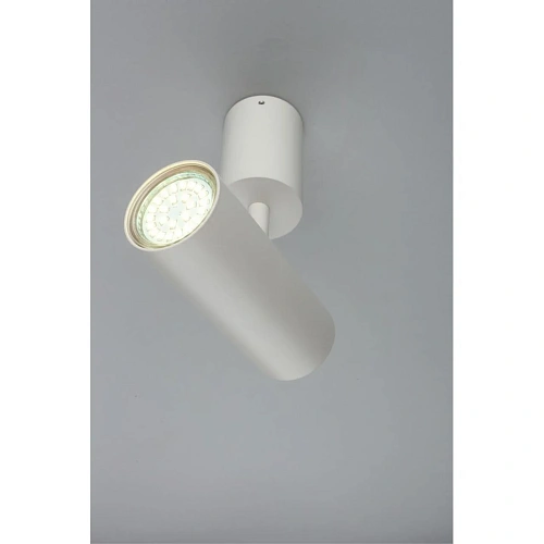 Светильник настенно-потолочный Aployt Berenis APL.007.02.01 Светильник настенно-потолочный Aployt Berenis APL.007.02.01