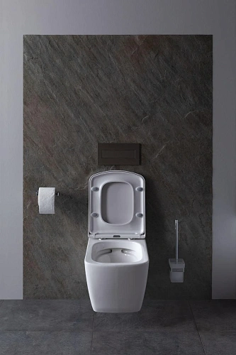 Комплект унитаза Allen Brau Liberty 4.33004.20/8.9466.0.000.000.1 (00316507) с инсталляцией, белый глянец Комплект унитаза Allen Brau Liberty 4.33004.20/8.9466.0.000.000.1 (00316507) с инсталляцией, белый глянец