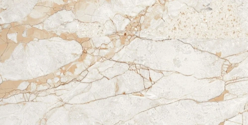 Керамогранит Neodom Ambassador Rosalia Glossy 60x120 CV20196 Керамогранит Neodom Ambassador Rosalia Glossy 60x120 CV20196