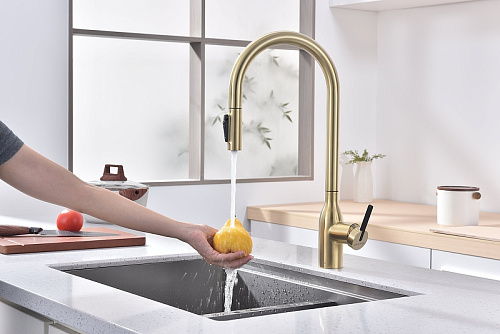 Смеситель для кухни Paulmark UNIVERSAL светлое золото Un213880-LG Смеситель для кухни Paulmark UNIVERSAL светлое золото Un213880-LG