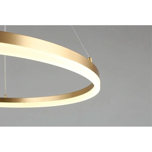 Люстра подвесная Aployt Armel APL.049.13.40 Люстра подвесная Aployt Armel APL.049.13.40