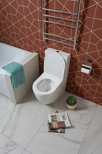 Чаша напольного унитаза Aquanet Rimless Cetus 2.0 C1 LX-2903 с сиденьем Чаша напольного унитаза Aquanet Rimless Cetus 2.0 C1 LX-2903 с сиденьем