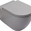 Унитаз подвесной Allen Brau Reality 4.32015.SG сиденье с микролифт серый матовый Унитаз подвесной Allen Brau Reality 4.32015.SG сиденье с микролифт серый матовый