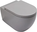 Унитаз подвесной Allen Brau Reality 4.32015.SG сиденье с микролифт серый матовый Унитаз подвесной Allen Brau Reality 4.32015.SG сиденье с микролифт серый матовый