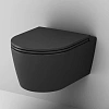 Унитаз подвесной AM.PM Func C8F1700MBSC FlashClean с сиденьем микролифт, черный матовый Унитаз подвесной AM.PM Func C8F1700MBSC FlashClean с сиденьем микролифт, черный матовый