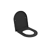 Крышка-сиденье Ambassador Queen 112T20201 (толстое) черное матовое Крышка-сиденье Ambassador Queen 112T20201 (толстое) черное матовое