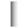 Картинка анонса товара «зеркало evoform standard by 0246 40х140 см с фацетом»