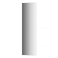 Детальная картинка товара «зеркало evoform standard by 0246 40х140 см с фацетом»