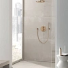 Верхний душ GROHE Rainshower с кронштейном, теплый закат матовый (26066DL0) Верхний душ GROHE Rainshower с кронштейном, теплый закат матовый (26066DL0)