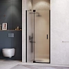 Картинка анонса товара «душевая дверь rgw hotel ho-014b 1300 мм easy clean черный 350601413-24»