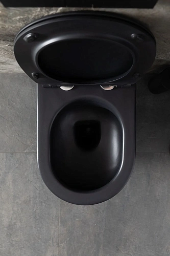 Унитаз подвесной Allen Brau Reality 4.32006.31 с крышкой, черный матовый Унитаз подвесной Allen Brau Reality 4.32006.31 с крышкой, черный матовый