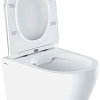 Комплект STWORKI Унитаз подвесной IDDIS Blanco BLARDSEi25 безободковый + Система инсталляции для уни 555382 Комплект STWORKI Унитаз подвесной IDDIS Blanco BLARDSEi25 безободковый + Система инсталляции для уни 555382