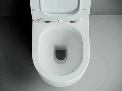 Чаша напольного унитаза Ceramica Nova Metropol CN4001-B с крышкой-сиденьем Чаша напольного унитаза Ceramica Nova Metropol CN4001-B с крышкой-сиденьем