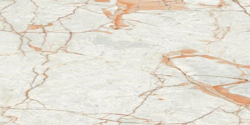 Керамогранит Neodom Ambassador Rosalia Glossy 60x120 CV20196 Керамогранит Neodom Ambassador Rosalia Glossy 60x120 CV20196