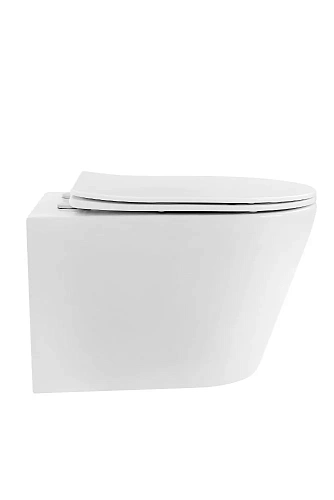 Унитаз подвесной Boheme AVVA 973-SET-W белый глянец c крышкой Унитаз подвесной Boheme AVVA 973-SET-W белый глянец c крышкой