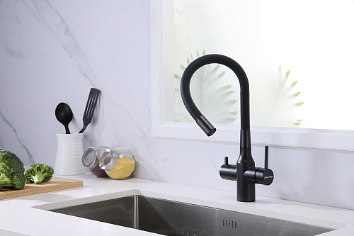 Смеситель для кухни Paulmark SALIX черный Sa213419-BLM Смеситель для кухни Paulmark SALIX черный Sa213419-BLM