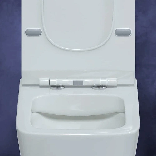 Комплект унитаза BERGES FLOE с инсталляцией NOVUM525, кнопкой L5 Soft Touch черной, сиденье дюроплас 043279 Комплект унитаза BERGES FLOE с инсталляцией NOVUM525, кнопкой L5 Soft Touch черной, сиденье дюроплас 043279