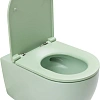 Унитаз подвесной Allen Brau Reality 4.32015.MT сиденье с микролифт мятный Унитаз подвесной Allen Brau Reality 4.32015.MT сиденье с микролифт мятный