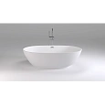 Ванна отдельностоящая Black&White Swan SB106 180х90 акриловая 106SB00 Ванна отдельностоящая Black&White Swan SB106 180х90 акриловая 106SB00