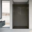Душевая дверь Vincea Arno VPS-1A120CGB, 1200, черный, стекло тонированное Душевая дверь Vincea Arno VPS-1A120CGB, 1200, черный, стекло тонированное
