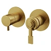 Смеситель для душа Remer Atelier AL93ZPWBBG, золото брашированное