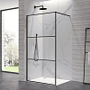 Душевая перегородка RGW WA-09B 1000 мм 06100910-224